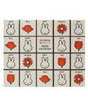 MIFFY 2025 
CALENDAR
(BCA-4)